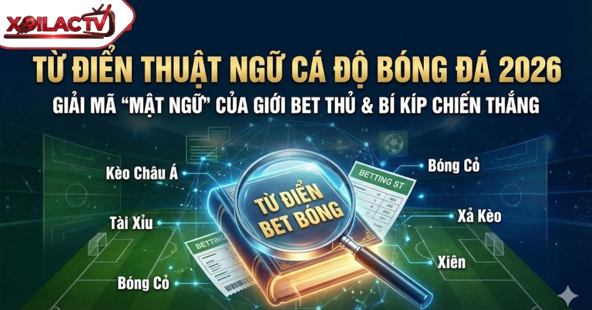 Từ Điển Thuật Ngữ Cá Độ Bóng Đá 2026: Giải Mã Toàn Bộ “Tiếng Lóng” Giới Bet Thủ