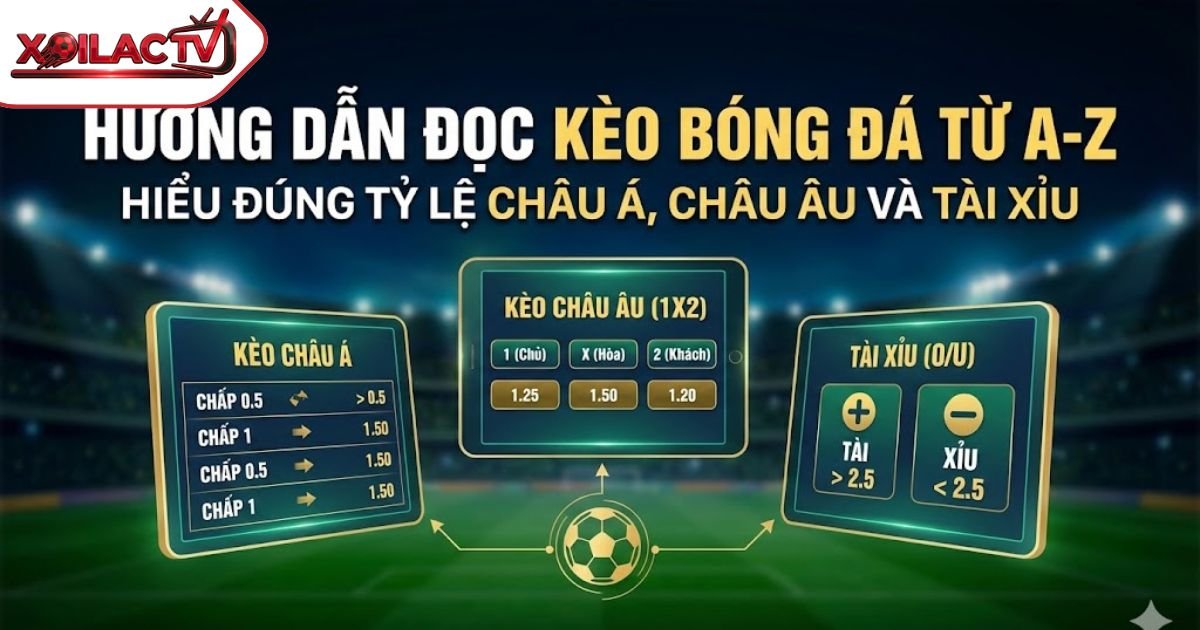 Hướng Dẫn Cách Đọc Kèo Bóng Đá Từ A-Z: Hiểu Đúng Tỷ Lệ Châu Á, Châu Âu và Tài Xỉu